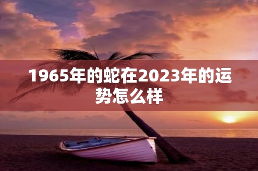 详细阅读:1965年的蛇在2023年的运势怎么样 1965年的蛇在2023年的运势怎么样
